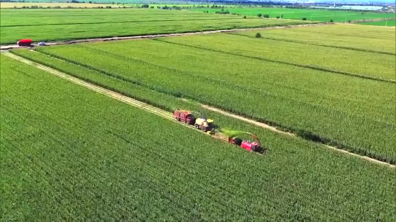 中国农业视频推荐