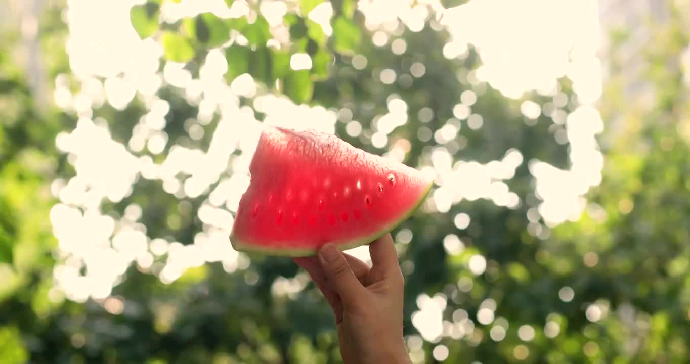 夏天,西瓜,水果,阳光明媚（选编）视频购买